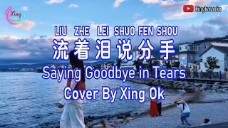 Download lagu Breaking Up While Crying Liu Zhe Lei Shuo Fen Shou | Mandarin Song Cover mp3