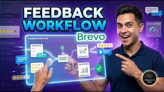 Build A Customer Feedback Workflow In Brevo [Verified]