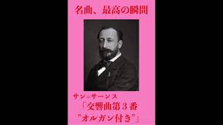 Download lagu 名曲、最高の瞬間／サン=サーンス「交響曲第３番”オルガン付き”」#クラシック #サン=サーンス#交響曲 mp3