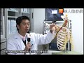 顧肩新寵！注射針劑緩解五十肩疼痛