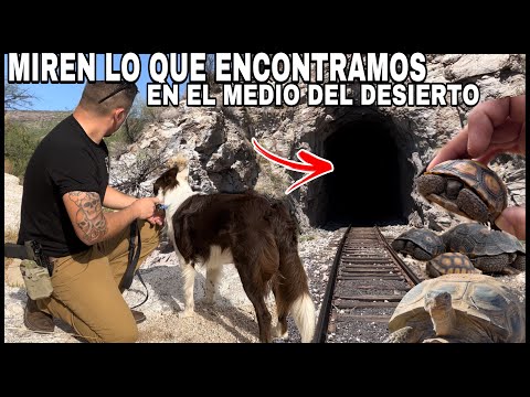 El Regreso De Kiko Después De Su Accidente