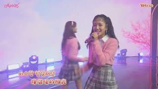 [中韓歌詞Live] Apink (에이핑크) - &#39;Always&#39; (Pink Eve)