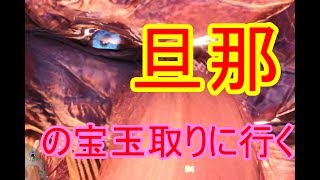 [声優/実況]片手剣おじさんがいく！赤き炎の宝玉を求めて！[モンハンワールド]