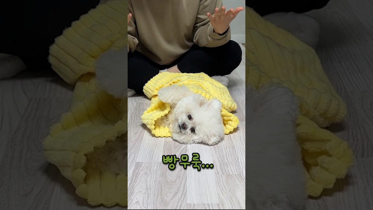 빵지는...이거못해.....