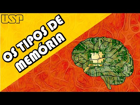 Os TIPOS de MEMÓRIA! #Neurociência