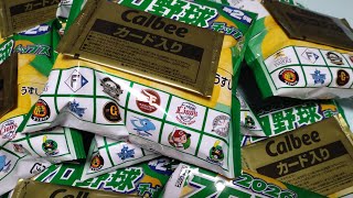 #2【2026プロ野球チップス第2弾】開封動画