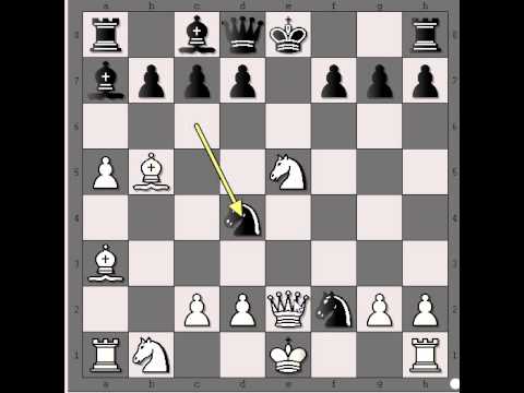 Žrtva Kraljice dvostruki sah i mat  -  Evans gambit - HELMS vs TENNER # 364