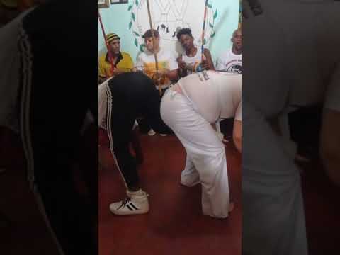 Capoeira Angola no Pé de arte 🌻 #portoferreira #capoeiraangola  #rodamensalpedearte
