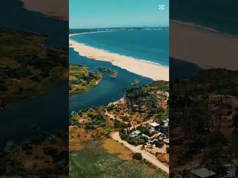 Chillout Session at Ocean Park 🏖️ | CASA OP | 1-Hour Ambient Mix