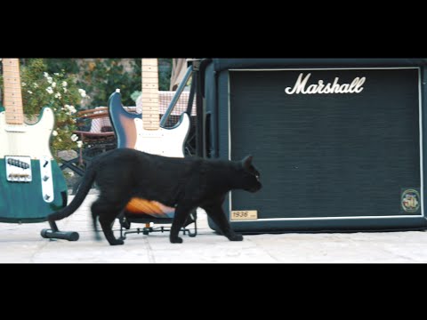 Ansambl Toć  - Pravac Kotor