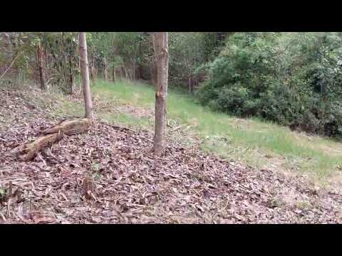 En Venta - Terreno a 18km de Máfil, Región de los Ríos