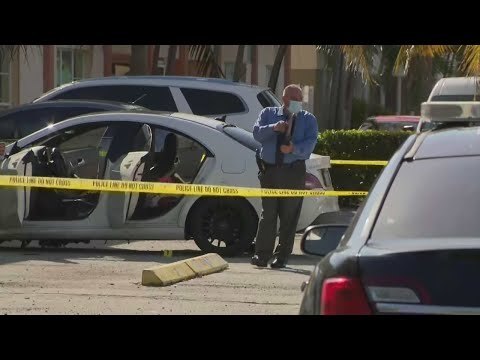 Woman Injured After Being Shot At Near Fontainebleau...