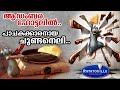 അത്താഴം പാകം ചെയ്യുന്ന ചുണ്ടനെലി രുച