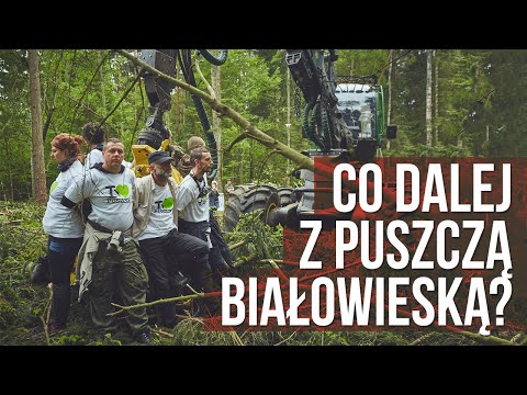 Puszcza Białowieska - co dalej?