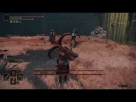 ELDEN RING - Nox Swordstress & Nox Monk No-Hit ft. Rusted Anchor [Parry Focus]