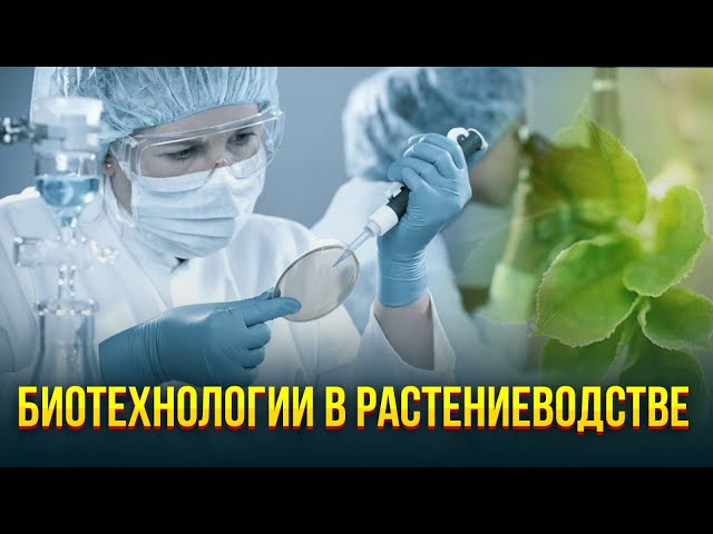 Биотехнологии в растениеводстве