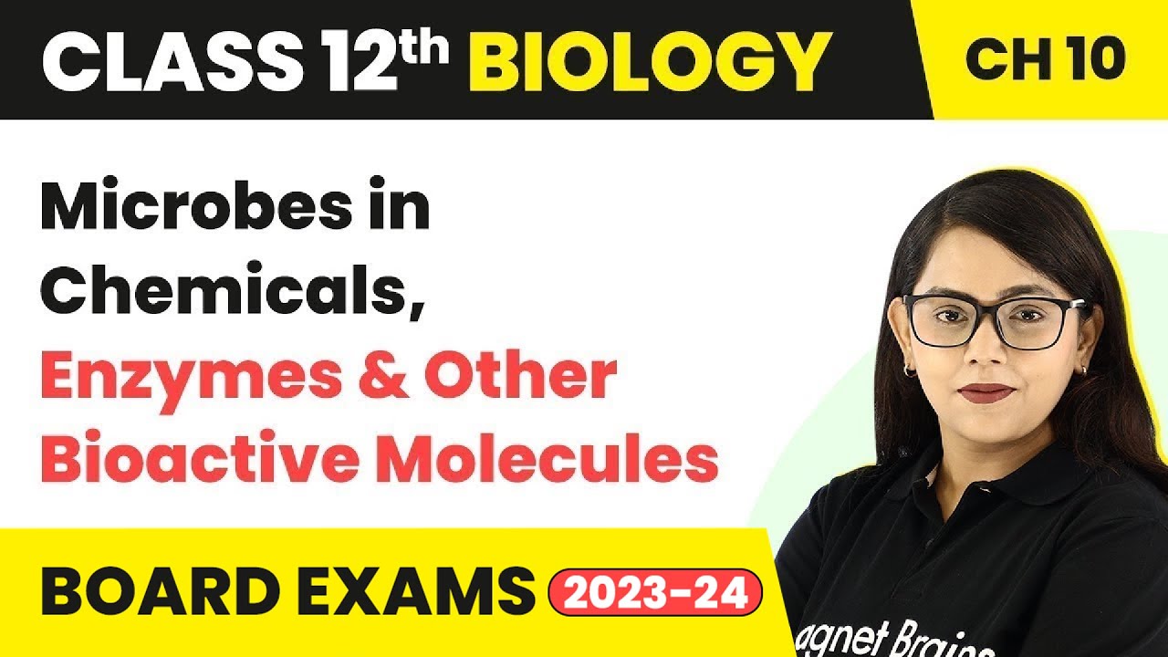 Microbes in Chemicals, Enzymes & Other Bioactive Molecules | Class 12 Biology Chapter 10 NCERT/NEET