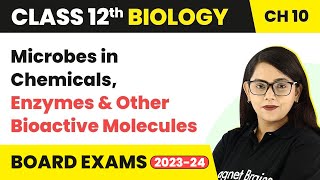 Microbes in Chemicals, Enzymes & Other Bioactive Molecules | Class 12 Biology Chapter 10 NCERT/NEET