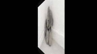 JUAN LUIS GUERRA &quot;RAZONES&quot;