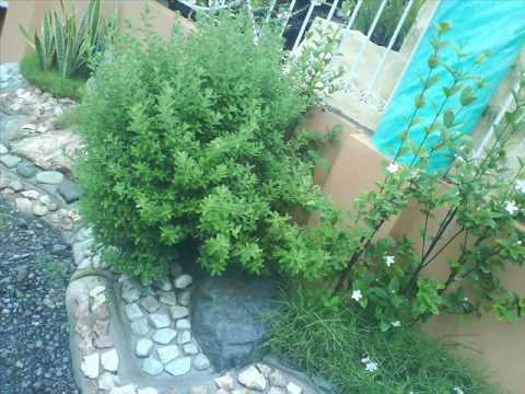 ^^Yuriko Wenchie Shiju