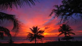 Peter White - Say good night*