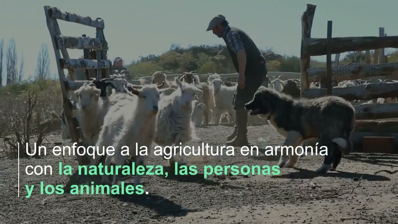 REGENERACIÓN I Fondo Regenerativo para la Naturaleza