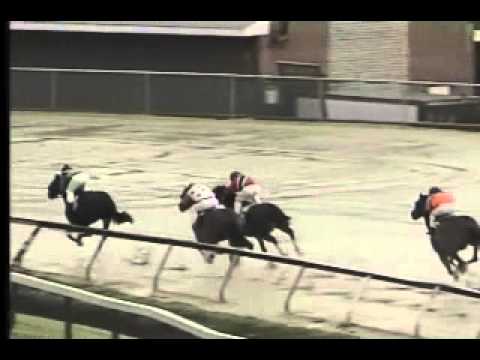 Pimlico 05/11/13 Race10