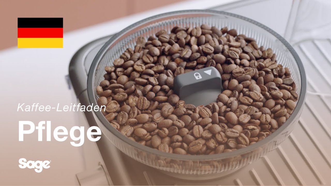 Reinigung der Mahlkegel