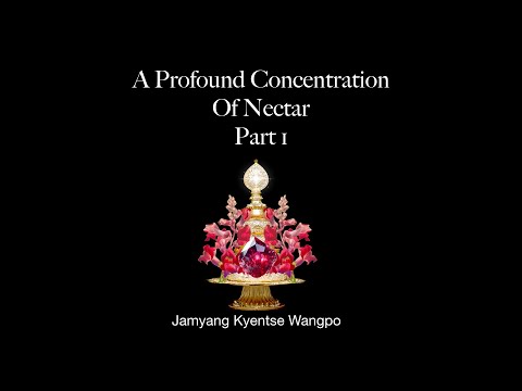 A Profound Concentration of Nectar Pt 1 - Visualisation practice - Advanced Buddhist teachings