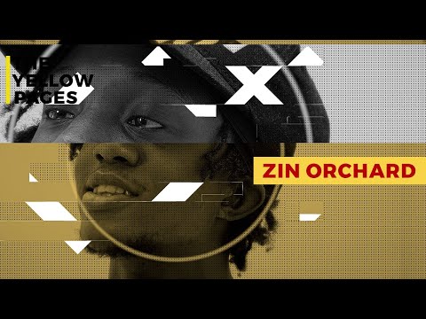 Zin orchard - No Figures |4K| #TheYellowPages
