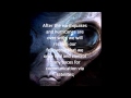 THIRD ALIEN MESSAGE TO THE WORLD AS A ...