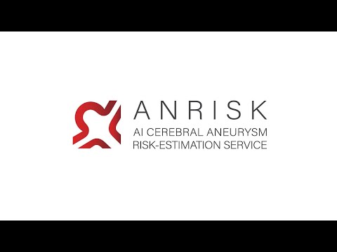 인공지능 뇌동맥류 발병 위험 평가 서비스 ANRISK™
