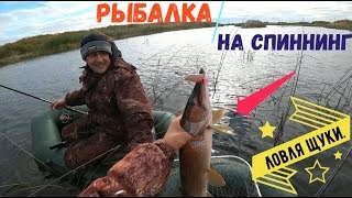 Рыбачьей удалью блесну и в речке возле леса поймаю