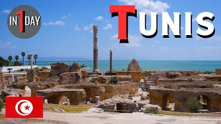 Tunis in One Day | Sightseeing Day Trip from Hammamet | Best of Tunis in 1 Day | Tunisia | Africa