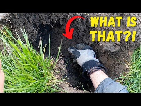 Una scoperta totalmente inaspettata! Alla ricerca di tesori perduti con un metal detector