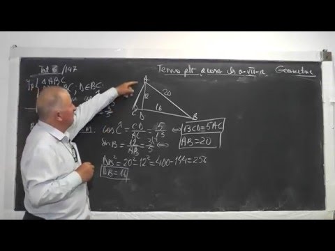 2/3 967 Teste geometrie plana - Arii Teorema lui Pitagora, Catetei, Inaltimii, Bisectoarei Clasa 7