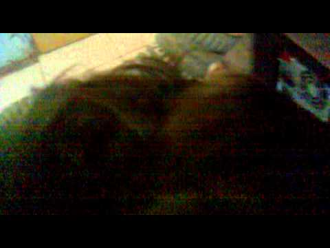 river plate 2 vs.almirante brown 0