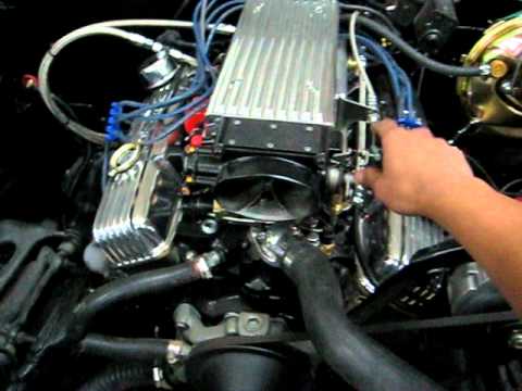 Derek 68 Camaro SBC 350 EFI MS2 stealth ram- Buddha Paint