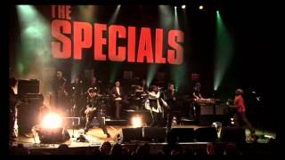 The Specials   Stupid Marriage