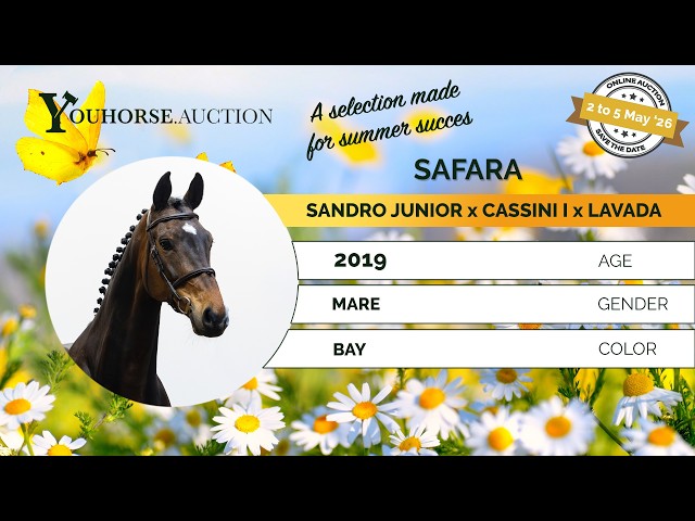 Safara showvideo indoor
