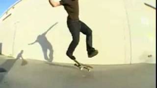 marc johnson tre flip illusion