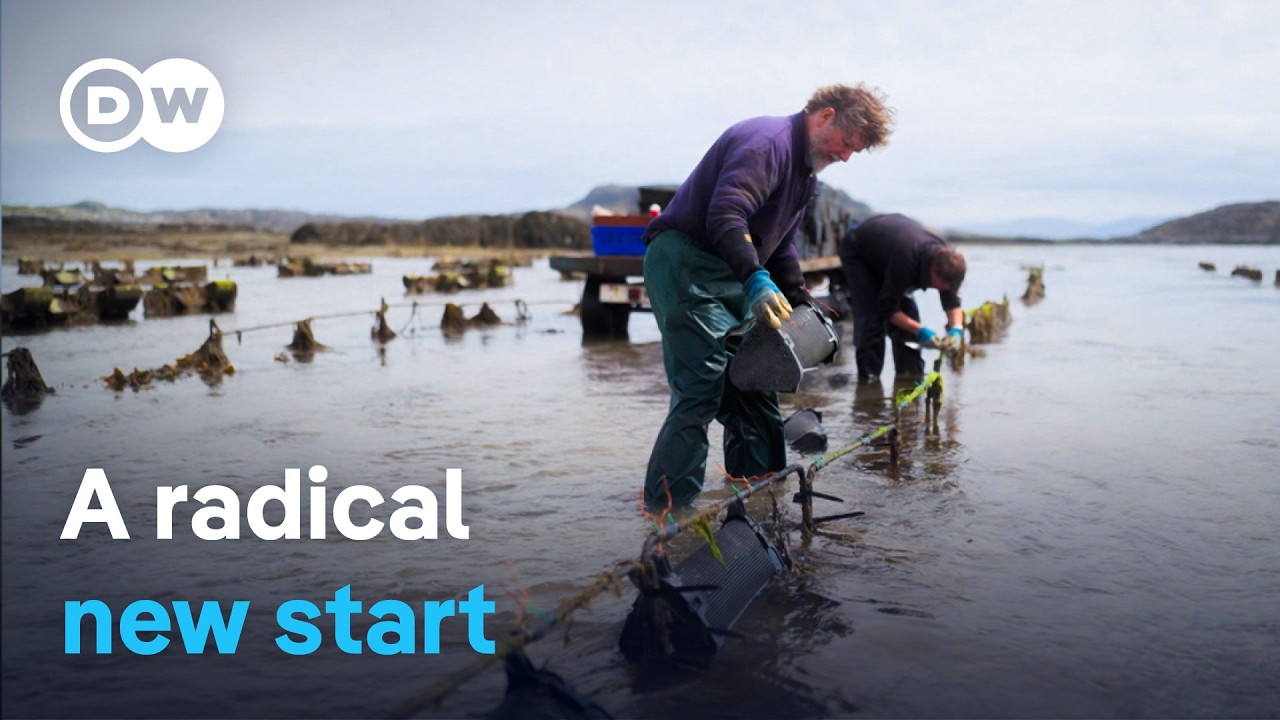 Off to Scotland - Happiness, solitude and oysters | DW Documentary