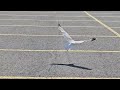 One Legged Seagull In Parking Lot