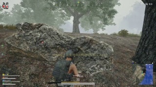 【PUBG】ディスコードできる人なら
