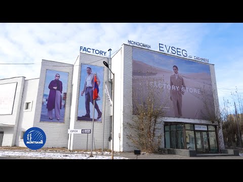 “Цагаан алт” хөтөлбөрийн дүнд самнасан ноолуурын экспорт 5 дахин нэмэгдэж 244 сая ам.долларт хүрчээ
