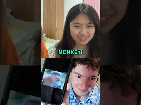 They Didn't Realize I Spoke Their Language, Until...😂