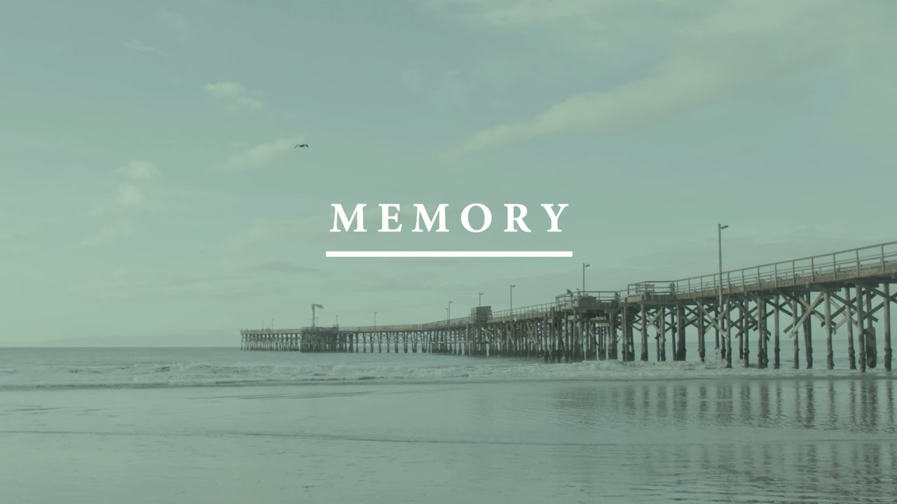 Memory: An Interdisciplinary Exploration