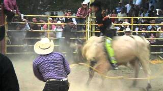 El culumpio vs. el andariego (el flako) RANCHO LOS AMIGOS