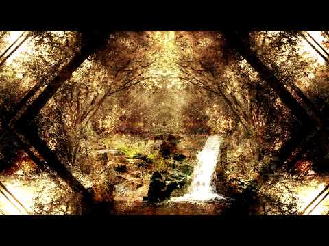 Barac - That person is like a tree planted by streams of water