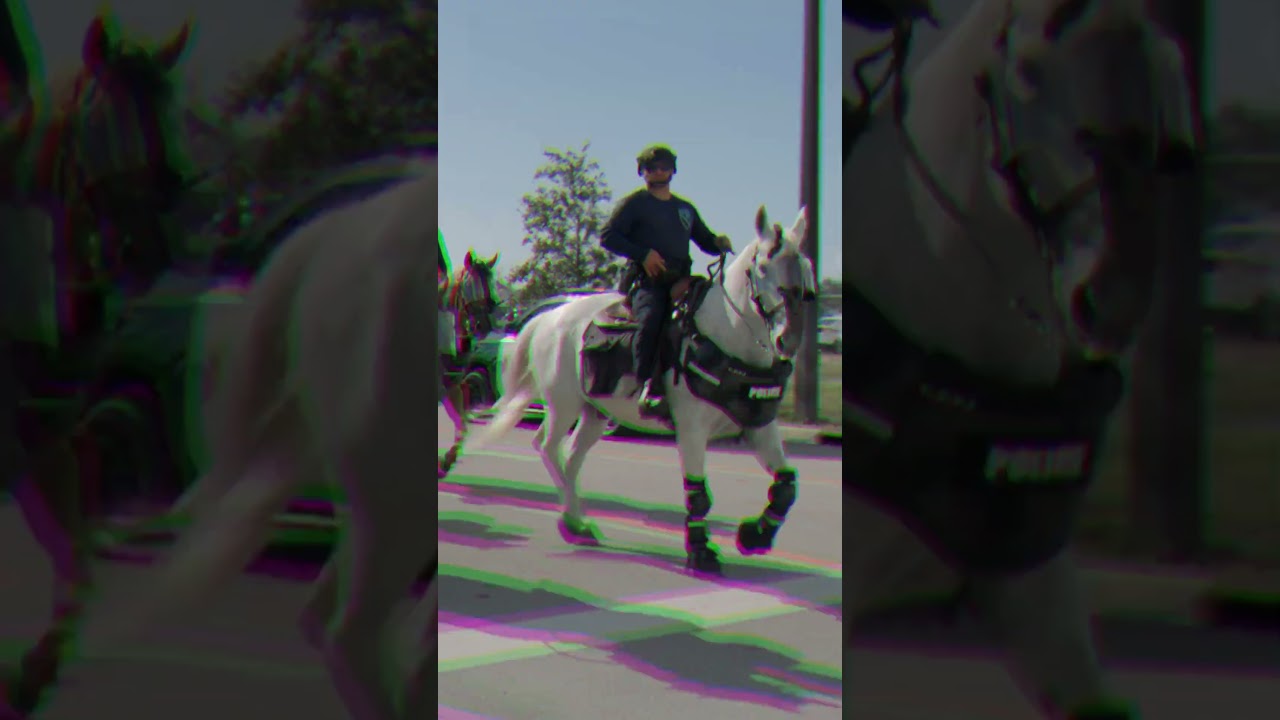 Proving Grounds - Episode 2 - Disorder  #flpd #lawenforcement #publicsafety #riot